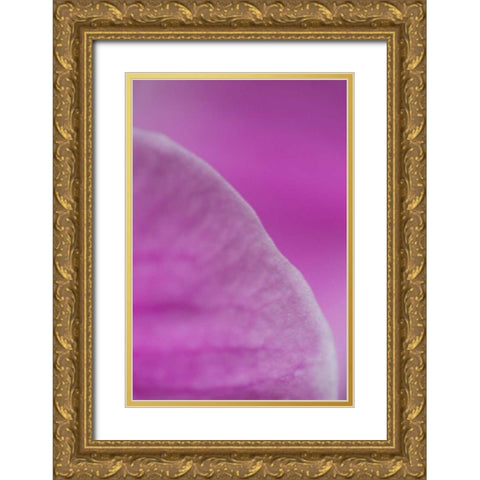 Purple I Gold Ornate Wood Framed Art Print with Double Matting by Millet, Karyn