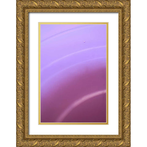 Purple II Gold Ornate Wood Framed Art Print with Double Matting by Millet, Karyn