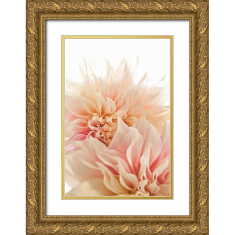 Pink Dahlia II Gold Ornate Wood Framed Art Print with Double Matting by Millet, Karyn