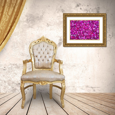 Pink Petals III Gold Ornate Wood Framed Art Print with Double Matting by Millet, Karyn