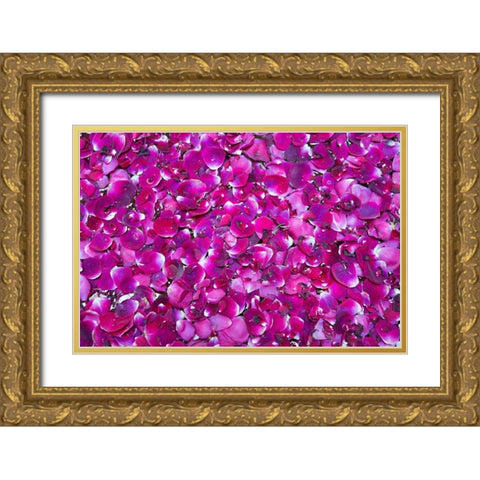 Pink Petals III Gold Ornate Wood Framed Art Print with Double Matting by Millet, Karyn