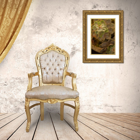 Succulent II Gold Ornate Wood Framed Art Print with Double Matting by Millet, Karyn