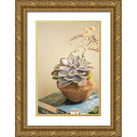 Small Succulent Gold Ornate Wood Framed Art Print with Double Matting by Millet, Karyn