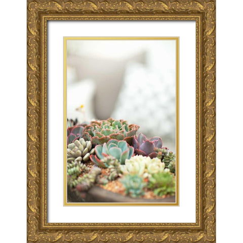 Succulents Gold Ornate Wood Framed Art Print with Double Matting by Millet, Karyn