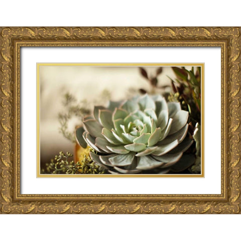 Succulent III Gold Ornate Wood Framed Art Print with Double Matting by Millet, Karyn