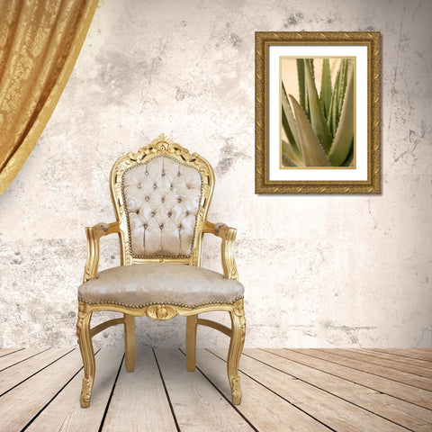 Aloe Gold Ornate Wood Framed Art Print with Double Matting by Millet, Karyn
