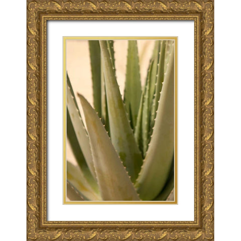 Aloe Gold Ornate Wood Framed Art Print with Double Matting by Millet, Karyn