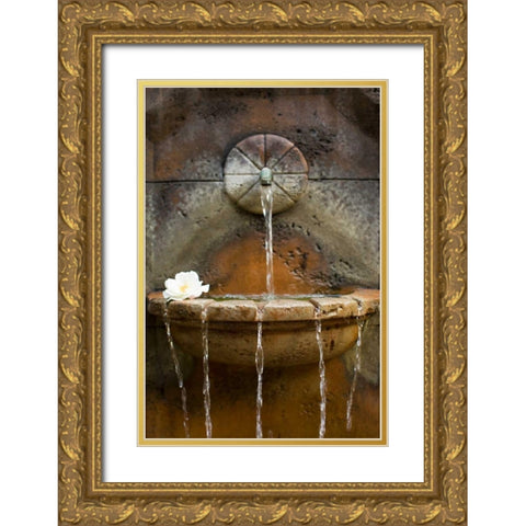 Fountain I Gold Ornate Wood Framed Art Print with Double Matting by Millet, Karyn