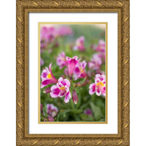 Purple and White I Gold Ornate Wood Framed Art Print with Double Matting by Millet, Karyn