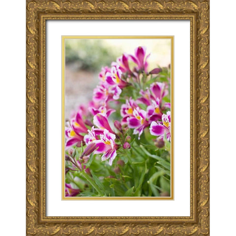 Purple and White II Gold Ornate Wood Framed Art Print with Double Matting by Millet, Karyn