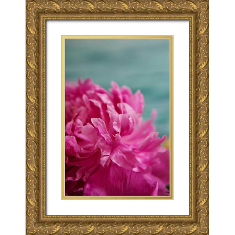 Fuchsia Peonies III Gold Ornate Wood Framed Art Print with Double Matting by Millet, Karyn