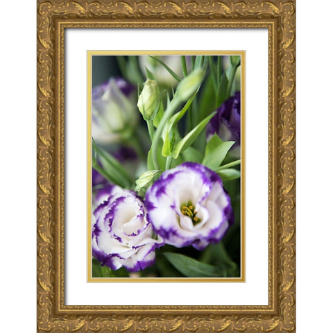 Purple Tipped Floral I Gold Ornate Wood Framed Art Print with Double Matting by Millet, Karyn