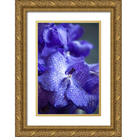 Vibrant Periwinkle Floral I Gold Ornate Wood Framed Art Print with Double Matting by Millet, Karyn