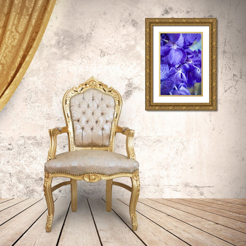 Vibrant Perwinkle Floral II Gold Ornate Wood Framed Art Print with Double Matting by Millet, Karyn