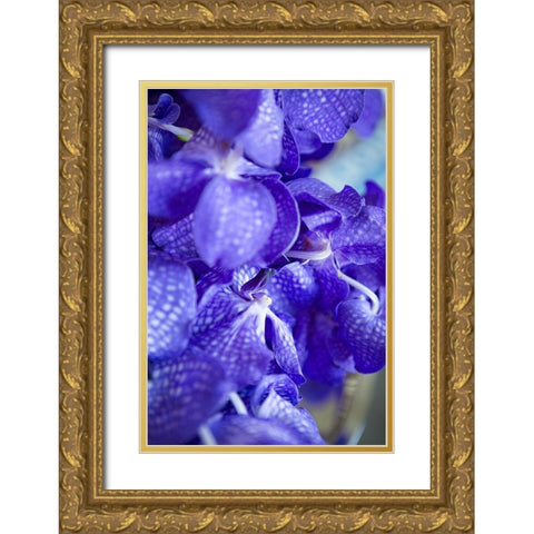 Vibrant Perwinkle Floral II Gold Ornate Wood Framed Art Print with Double Matting by Millet, Karyn