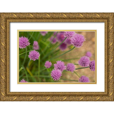 Purple Flower Ball I Gold Ornate Wood Framed Art Print with Double Matting by Millet, Karyn