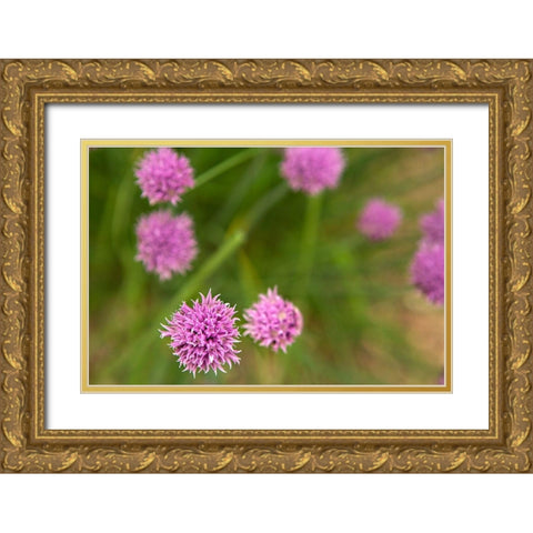 Purple Flower Ball II Gold Ornate Wood Framed Art Print with Double Matting by Millet, Karyn