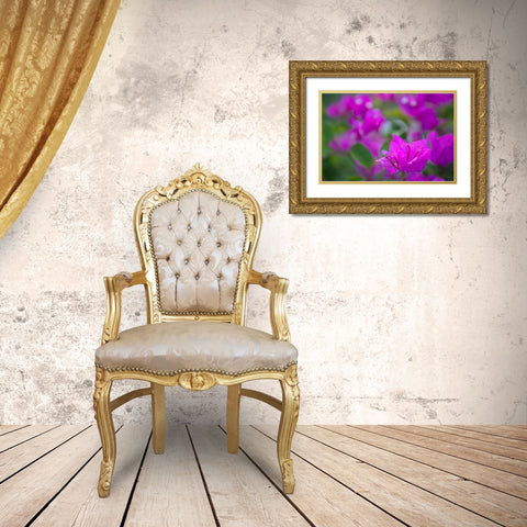 Magenta Bloom Gold Ornate Wood Framed Art Print with Double Matting by Millet, Karyn