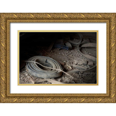 Leather Strap Gold Ornate Wood Framed Art Print with Double Matting by McNemar, C. Thomas