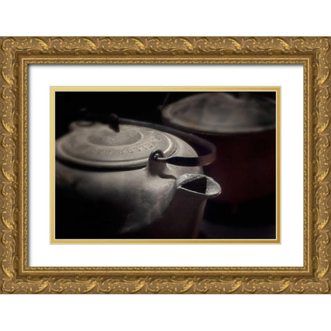 Iron Gold Ornate Wood Framed Art Print with Double Matting by McNemar, C. Thomas