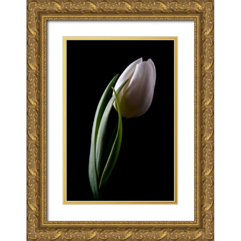 Tulips III Gold Ornate Wood Framed Art Print with Double Matting by McNemar, C. Thomas
