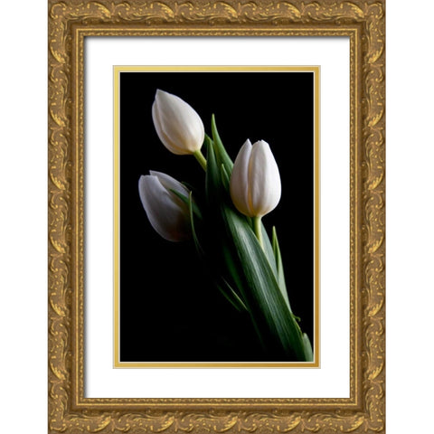 Tulips IV Gold Ornate Wood Framed Art Print with Double Matting by McNemar, C. Thomas