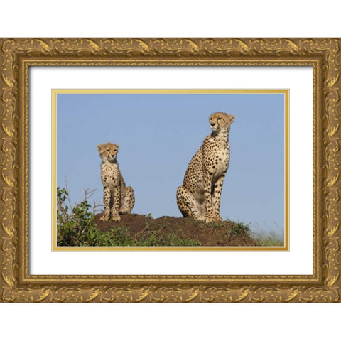 Set by Example Gold Ornate Wood Framed Art Print with Double Matting by Parker, Susann