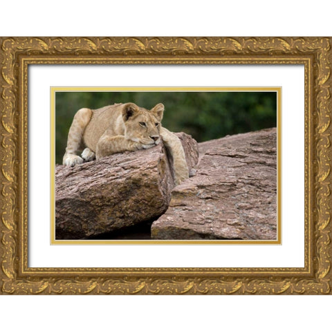 Lounging Gold Ornate Wood Framed Art Print with Double Matting by Parker, Susann