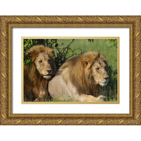 The Duo Gold Ornate Wood Framed Art Print with Double Matting by Parker, Susann
