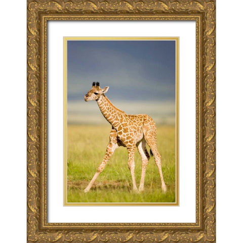 First Steps Gold Ornate Wood Framed Art Print with Double Matting by Parker, Susann