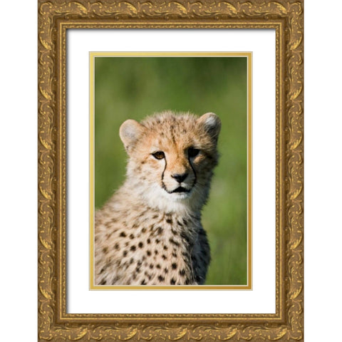 Innocence Renewed Gold Ornate Wood Framed Art Print with Double Matting by Parker, Susann