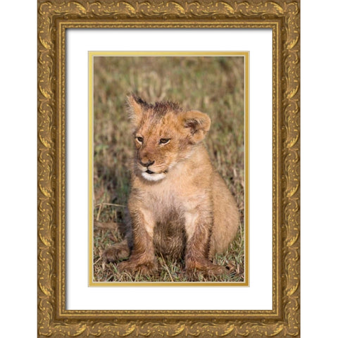 New Beginnings Gold Ornate Wood Framed Art Print with Double Matting by Parker, Susann