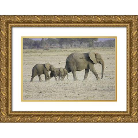 Memory Lane Gold Ornate Wood Framed Art Print with Double Matting by Parker, Susann