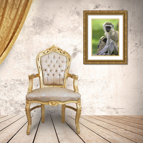 The Vervet Family Gold Ornate Wood Framed Art Print with Double Matting by Parker, Susann