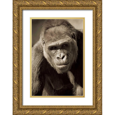 Planet of the Apes Gold Ornate Wood Framed Art Print with Double Matting by Parker, Susann