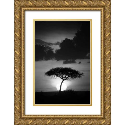 Kenta Sunrise Gold Ornate Wood Framed Art Print with Double Matting by Parker, Susann