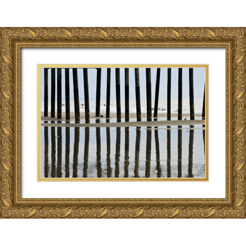 Pier Pilings II3 Gold Ornate Wood Framed Art Print with Double Matting by Peterson, Lee