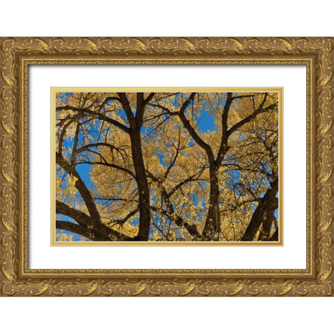 Fall Leaves VII Gold Ornate Wood Framed Art Print with Double Matting by Peterson, Lee