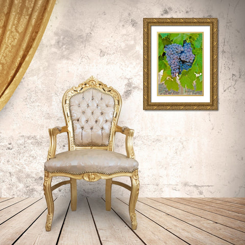 Cougar Winery Grapes I Gold Ornate Wood Framed Art Print with Double Matting by Peterson, Lee