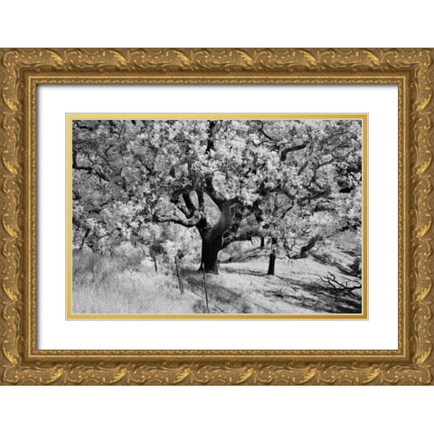 Cayucos II Gold Ornate Wood Framed Art Print with Double Matting by Peterson, Lee