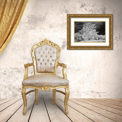 Cayucos IV Gold Ornate Wood Framed Art Print with Double Matting by Peterson, Lee
