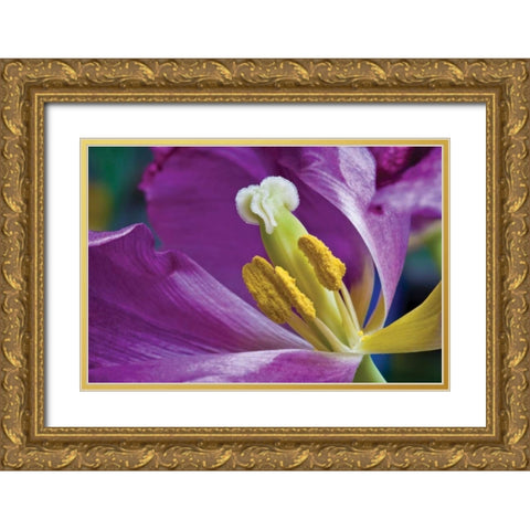 Purple Tulip II Gold Ornate Wood Framed Art Print with Double Matting by Peterson, Lee