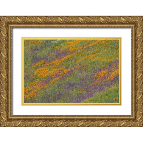 Wildflower Hills III Gold Ornate Wood Framed Art Print with Double Matting by Peterson, Lee