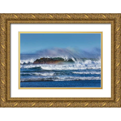 Cayucos Waves I Gold Ornate Wood Framed Art Print with Double Matting by Peterson, Lee