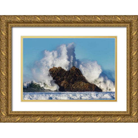 Cayucos Waves II Gold Ornate Wood Framed Art Print with Double Matting by Peterson, Lee