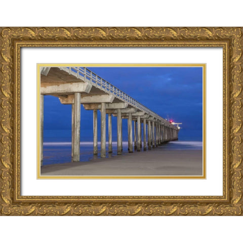 Scripps Pier II Gold Ornate Wood Framed Art Print with Double Matting by Peterson, Lee