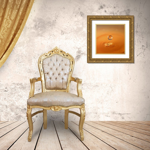 Tomato Soup Drop I Gold Ornate Wood Framed Art Print with Double Matting by Putman, Tammy