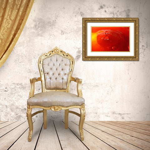 Red Drink Drop III Gold Ornate Wood Framed Art Print with Double Matting by Putman, Tammy