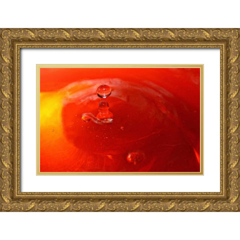 Red Drink Drop III Gold Ornate Wood Framed Art Print with Double Matting by Putman, Tammy