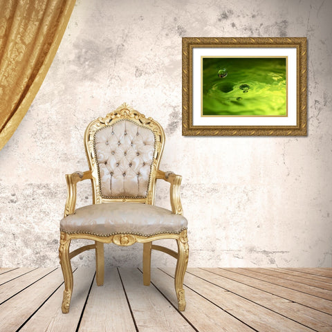 Lemon Lime Drop I Gold Ornate Wood Framed Art Print with Double Matting by Putman, Tammy